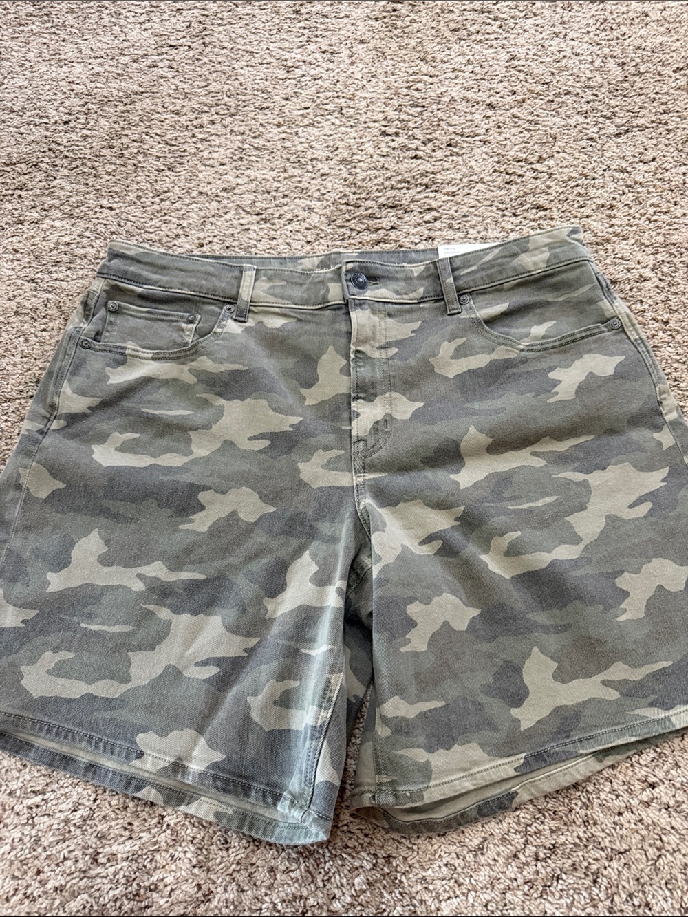 American Eagle Outfitters Camouflage Jean Shorts - Green